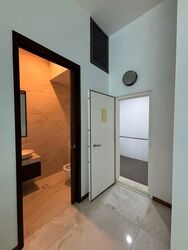 Cayman Residences (D15), Terrace #520461101